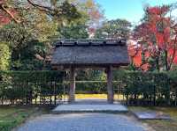 歷史悠久的日本庭園 。桂離宮