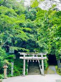 【島根県/玉作湯神社】2023年行ってよかった！島根県の神社①