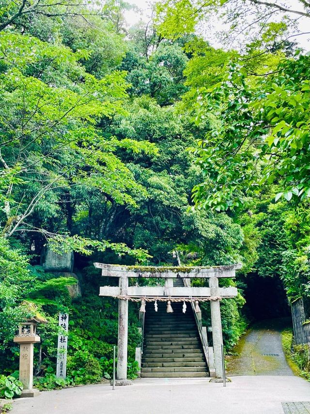 【島根県/玉作湯神社】2023年行ってよかった！島根県の神社①