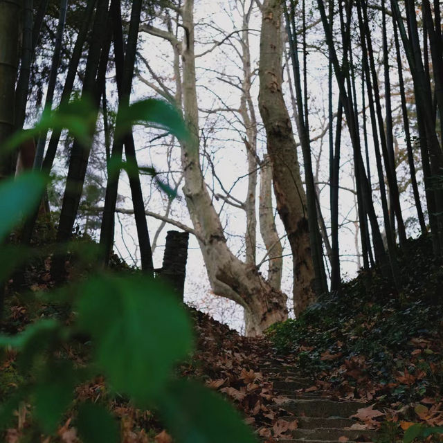 關山風景區 🏞️🌊自然寶藏🌅🌴