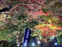 紅葉のライトアップ🍁