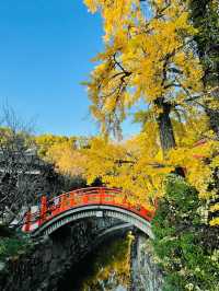 【京都府/賀茂御祖神社】2023年行ってよかった！京都府の神社②