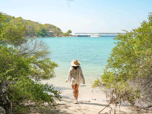 ดำน้ำ3เกาะระยองน้ำใสมาก​🌊มันนอก​ มันใน​เกาะทะลุ