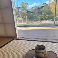 【大阪】大阪城の近くでクセになる抹茶とお団子のお店