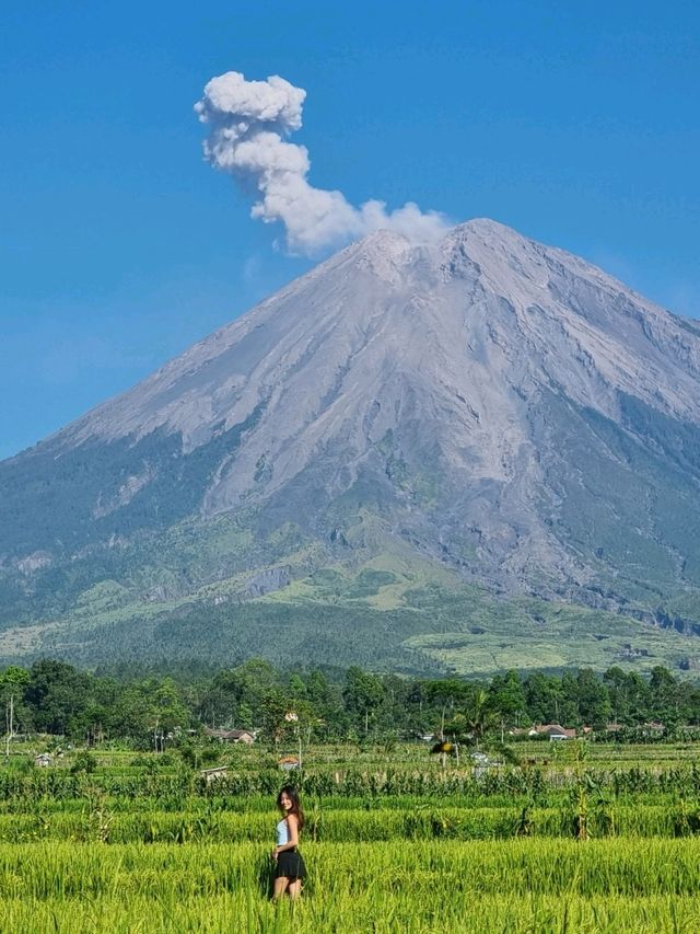 The Majesty of Mount Semeru Volcano