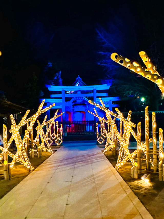 【絶景】幻想的な竹あかりが素敵🎋牛嶋神社のライトアップ⛩