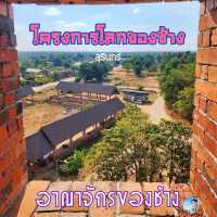 Elephant World
