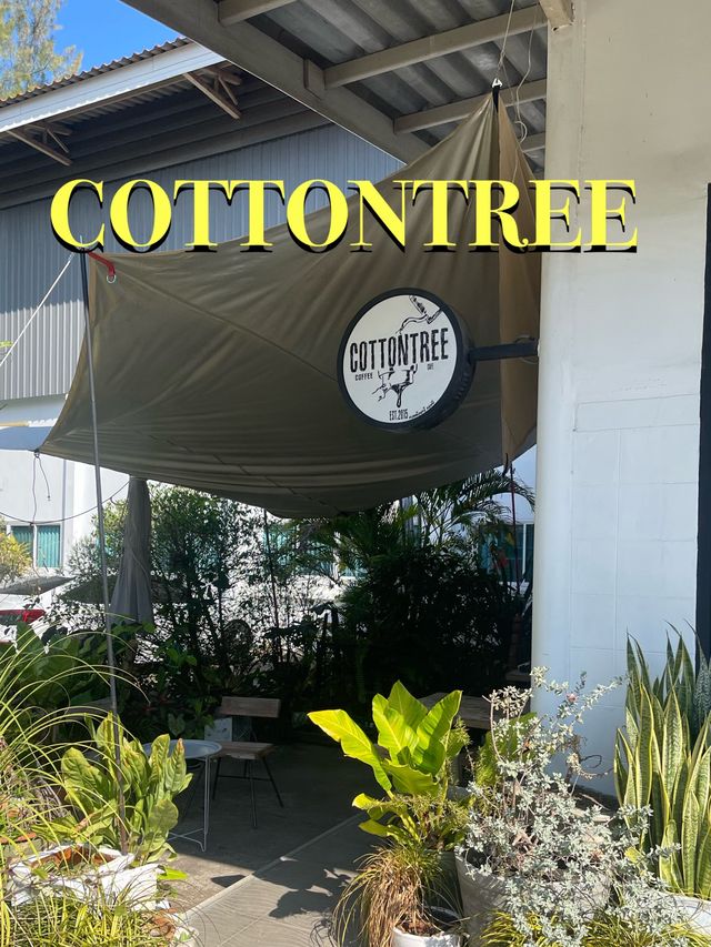 Cottontree coffee @Chiangmai