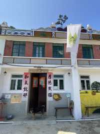 荔枝窩 梅子林