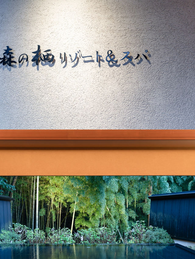 【石川県/加賀市】一度は行きたい滝のある隠れ家宿