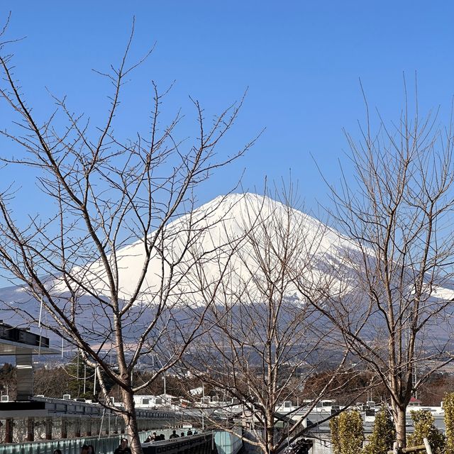 "Peak Majesty: Unveiling Mt Fuji”