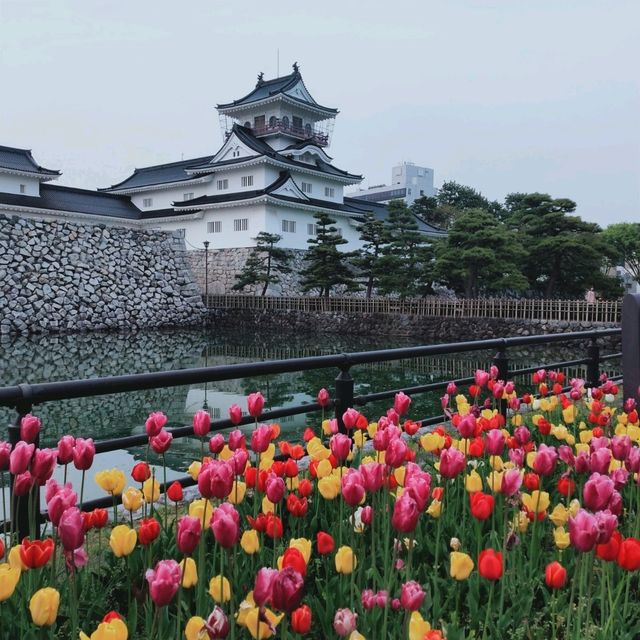 Toyama Castle