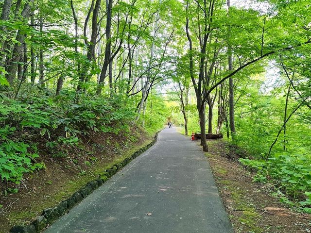 Asahiyama Memorial Park