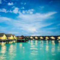 Luxurious stay @ Milaidhoo Island Maldives 🇲🇻