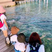 Adaaran Prestige Vadoo Maldives-day trip 