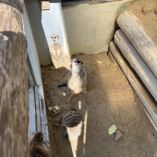 久山ふれあい動物園