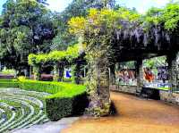 Sandringham Memorial Garden and Fountain