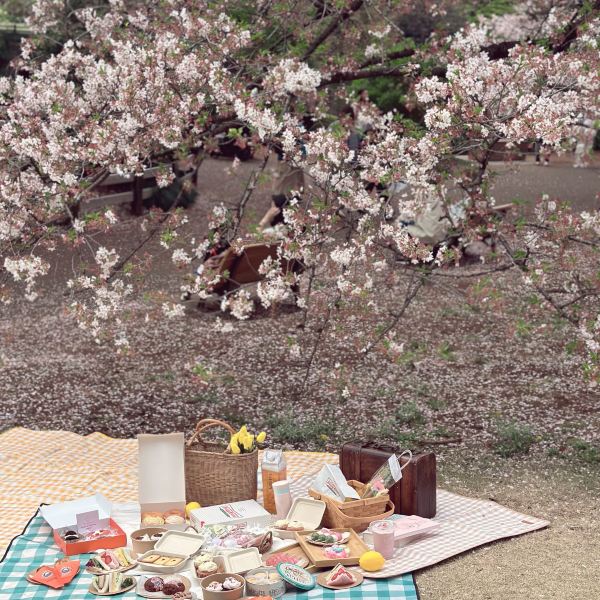 お花見🌸】春にぴったり「ピクジェニック」を楽しむコツ✨ | Trip.com 東京