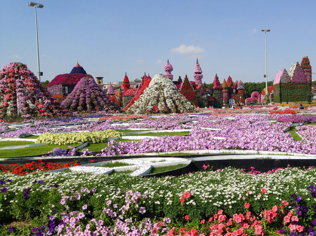 Dubai Miracle Garden: Floral Wonderland