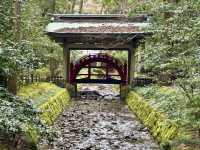 Yahiko shrine 🙏