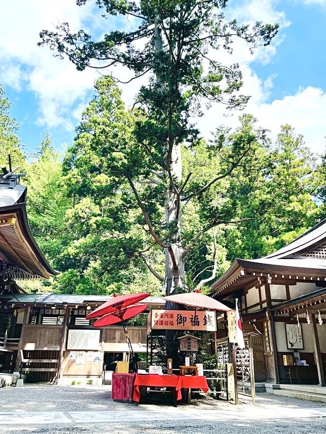 【寶登山神社/埼玉県】秩父三社の一社・鮮やかで華やかな社殿