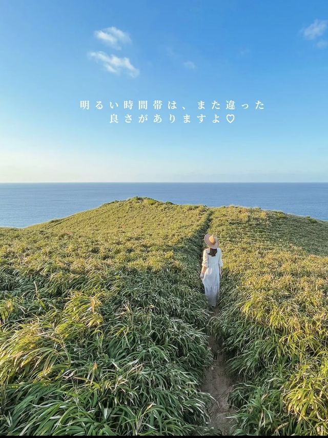 【奄美大島】島の絶景スポットで見るサンセット