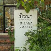 MiVana Organic Forest Coffee