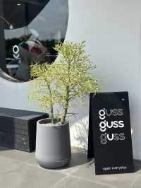 Guss Coffee  🥤
