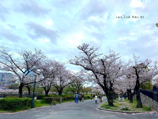 Kema Sakuranomiya Park