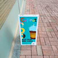 파주 운정신도시 도너츠 카페 , 컵넛(cupnut)🍩
