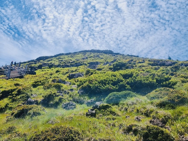 Hallasan National Park