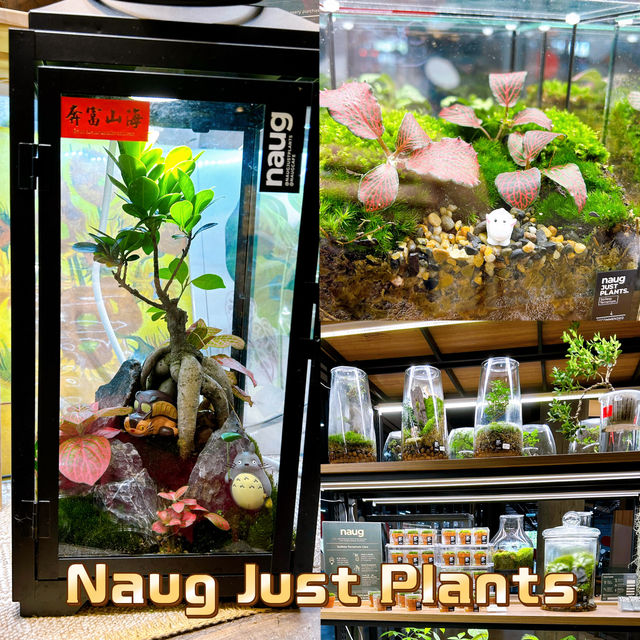 Naug Just Plants Bringing Greenery Indoors