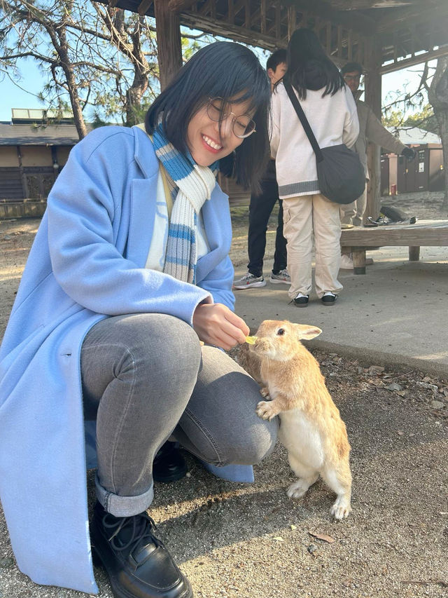 Okunoshima (Rabbit) Island