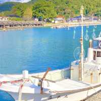 【隠岐島】本土からフェリーで2.5h 日本のクラビ⁉️