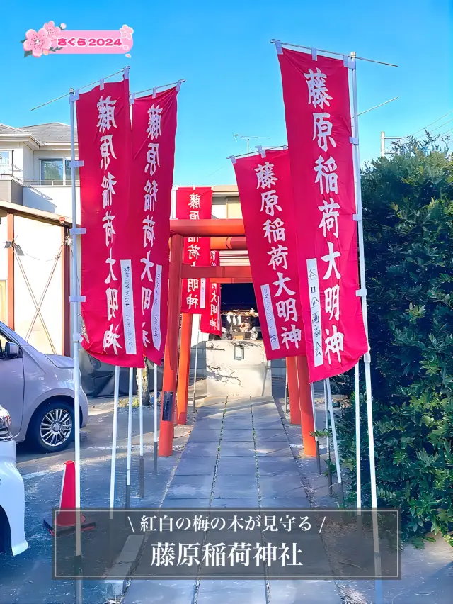 【藤原稲荷神社/東京都】紅白の梅の木が見守る