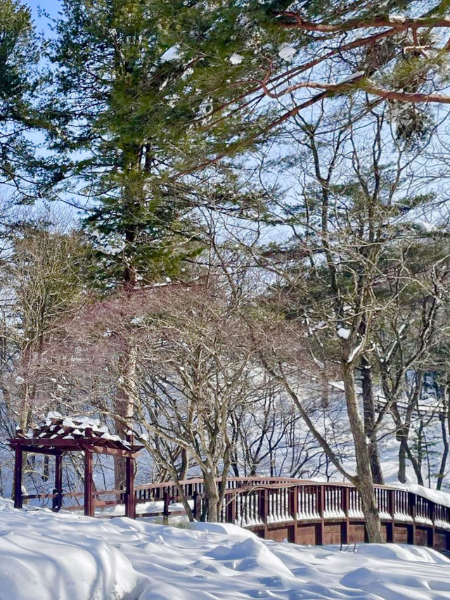 자연의 녹음과 드넓은 평야와 농장의 ☃️ 새하얀 눈구경을 하실 수 있는 평창군 겨울여행지추천