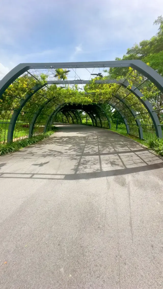 Sengkang Riverside Park