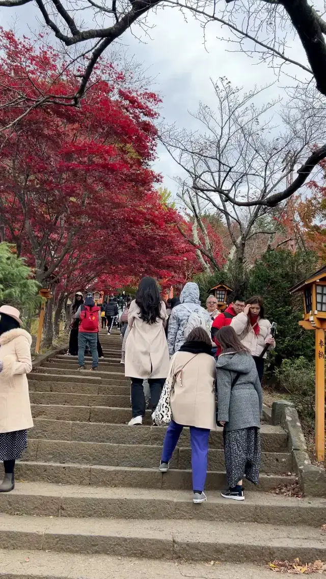 Arakura Fuji Sengen Shrine