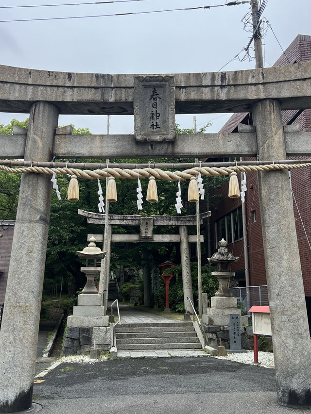 【北九州神社】八幡西区・黒崎地区を代表する神社