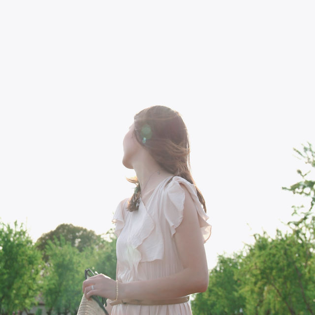 最美普羅旺斯