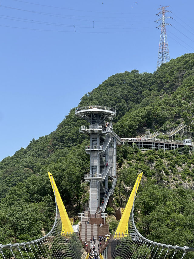 산자락에 아름다운 정원과 🌉 출렁다리에서 자연 풍경을 한눈에 보실수 있는 원주 봄여행지 추천