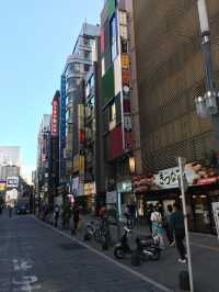 探索東京魅力：歌舞伎町的繁華景象
