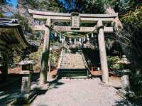 The Tamaki Shrine