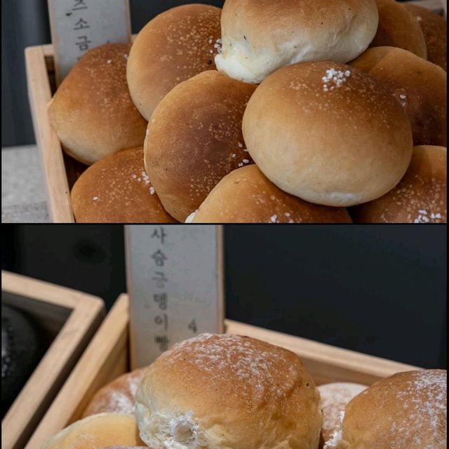 시카사는 일산동구 
