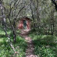 Tented camp hotel in Masai Mara 