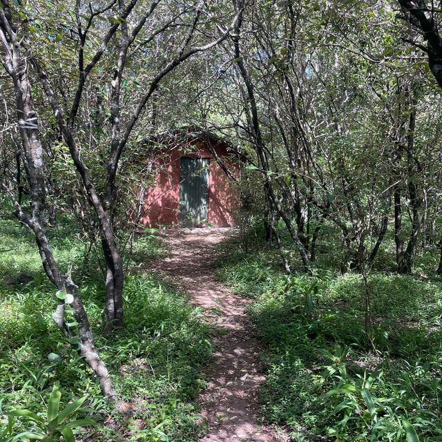 Tented camp hotel in Masai Mara 