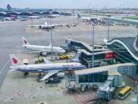 【香港】飛行機ビューに最適な空港内ブリッジ🌉