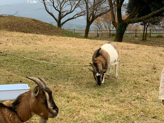 不一樣的郊外公園