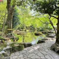 岐阜縣岐阜城半日遊｜松鼠館、金華登山纜車、美食午餐