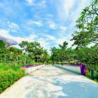 🇸🇬 Heritage Malay Garden